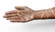 Combien de temps tatouages ​​au henné?  - Notes