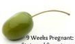 9 semaines de grossesse: Statistiques et symptômes