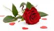 Mariage: bricoler Tischdekoration lui-même - de sorte gère un arrangement floral