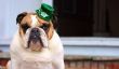 Coutumes irlandaises - alors que vous célébrez la Saint-Patrick