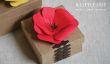 Entertain avec le géant de fleurs - 10 Paper Flower DIYs