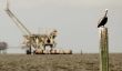 BP de continuer à payer créances résultant partir de 2010 déversements d'hydrocarbures, la Cour suprême dit