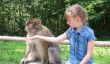 Visitez Monkey Park in NRW - donc réussit de
