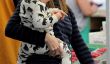 Ben Affleck et Jennifer Garner prennent leurs enfants au Farmers Market (Photos)