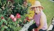Gardener: Education - contenu
