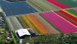 Photos aériennes de champs de tulipes aux Pays-Bas, par Normann Szkop