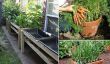 Idées pour cultiver des légumes dans les petits espaces et Yards