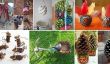 10 choses à faire avec Creative cônes de pin