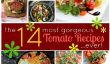 Le 14 plus belles tomates Recettes jamais