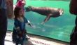 Suivre Sea Lion réagir à Little Girl Falling Down (Vidéo)