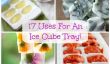 Inventive 17 façons d'utiliser votre Ice Cube Plateaux!