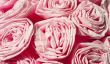 Tinker roses de papier crépon