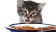 Meilleur nourriture pour chat - de sorte que vous décidez sur l'alimentation optimale