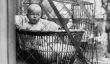 Oui, il est arrivé: les bébés dans des cages (PHOTOS)