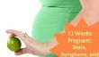 11 semaines de grossesse: Statistiques, les symptômes, et un Pic