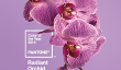 Orchid Radiant: comment porter Le Pantone Color Of The Year