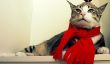12 Costumes d'Halloween pour les meilleurs chats sur Etsy