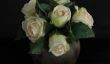 Gardez roses fraîches - afin que vous puissiez profiter de votre bouquet