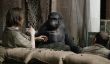 Box Office Analyse Week-end, Recap: "Dawn of Plant of the Apes" Outduels "Transformers", "Tammy"