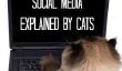 Expliqué médias sociaux par les chats