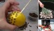 12 astuces qui gardent insectes à l'écart