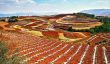 Les Terrasses de Red Earth Dongchuan, Chine