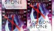 Un must-read Mystère: «La vie inachevée d'Addison Stone '