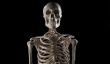 Tinker Halloween Skeleton