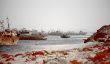De worldâ € ™ s plus grande fosse de chantier naval à Nouadhibou