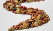 Good to Go: Summertime Trail Mix