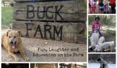 Rire Buck agricole: une exploitation agricole durable