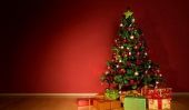 Tree Care Noël - de sorte que vous pourrez déguster sur votre arbre
