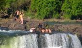 La piscine du diable: baignade sur le bord de la Victoria Falls