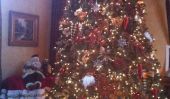 Real Housewives du New Jersey: Comment ils décorent pour un Noël en famille!  (Photos)