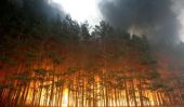 Les feux de forêt en Russie