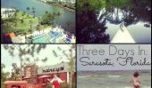 Three Days in Sarasota, Floride: Ce que nous avons