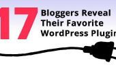 17 blogueurs révéler leur Favorite Plugins Wordpress