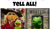 Miss Piggy, Kermit et de Constantine dire à tous!  En conversation avec les Muppets La plupart des étoiles de recherche!