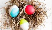 5 conseils pour tirer le meilleur Dyed Easter Eggs on the Block
