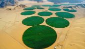 L'agriculture biologique dans les déserts de Wadi Rum