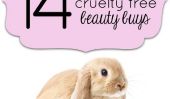 14 Les bonnes affaires de beauté sans cruauté