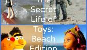 La vie secrète des jouets: Plage Edition (Photos)
