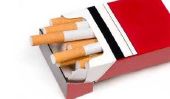 Tabac bourreuse - Conseils pour l'achat, la manutention et les soins des dispositifs manuels