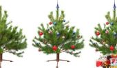 Faire des décorations pour l'arbre de Noël lui-même - suggestions