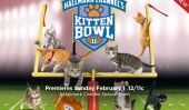 Kitten Bowl 2015 Date: 92 chatons jouer avec Mini Ballons car elles sont confrontées Pointeurs Laser et autres distractions
