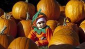13 Photos adorable de bébés dans Pumpkins