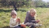 The Perfect Getaway automne Week-end: Cueillette de pommes dans le Vermont