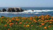 7 plages cachées sur la côte de la Californie