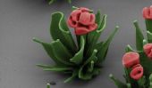 Chercheur cultive des fleurs microscopiques par cristallisation Contrôle