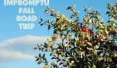 Impromptu voyage automne routière: Cueillette de pommes